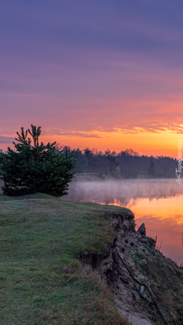 Poranek nad zamgloną rzeką