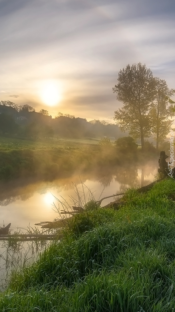 Poranek nad zamgloną rzeką