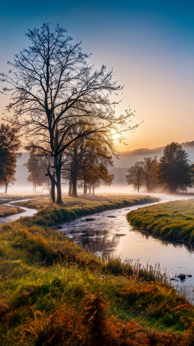 Poranna mgła nad polami i rzeką