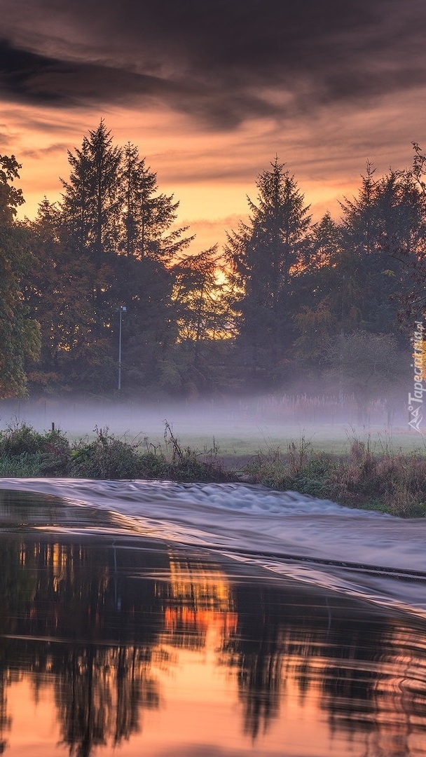 Poranna mgła nad rzeką