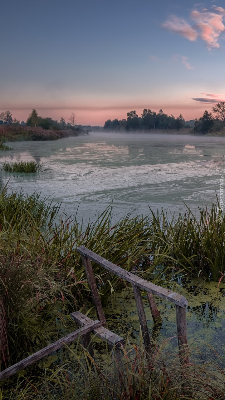 Poranna mgła nad rzeką Dubna