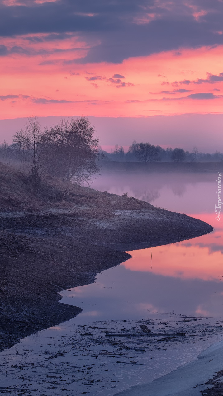 Poranna mgła nad rzeką Dubna