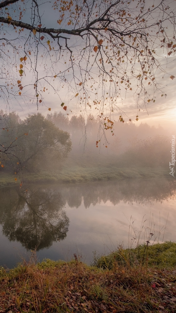 Poranna mgła nad rzeką Istra