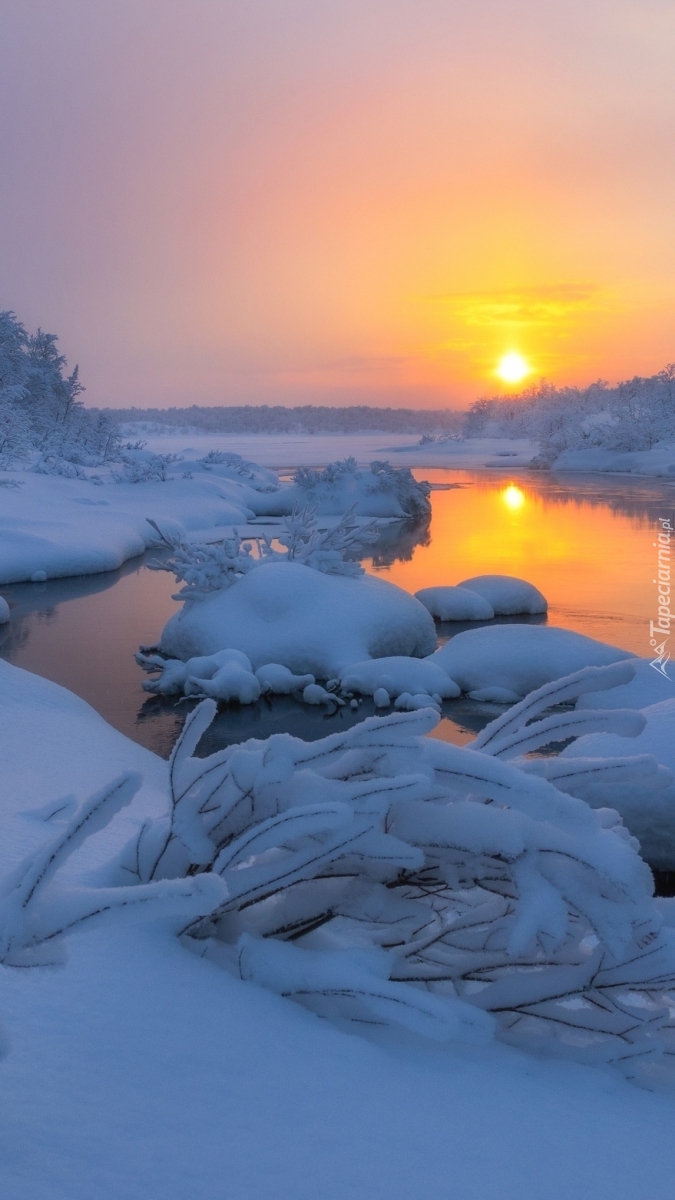 Poranne słońce nad zimową rzeką