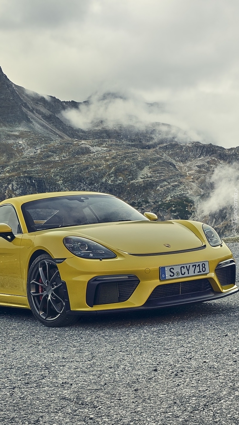 Porsche 718 Cayman GT4