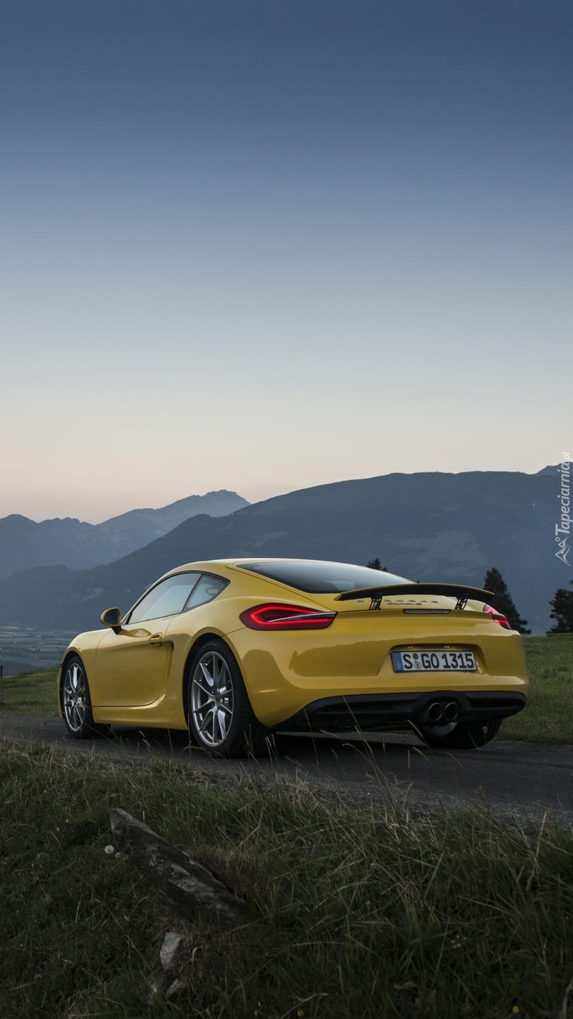 Porsche Carrera w górach