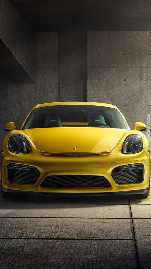 Porsche Cayman GT4