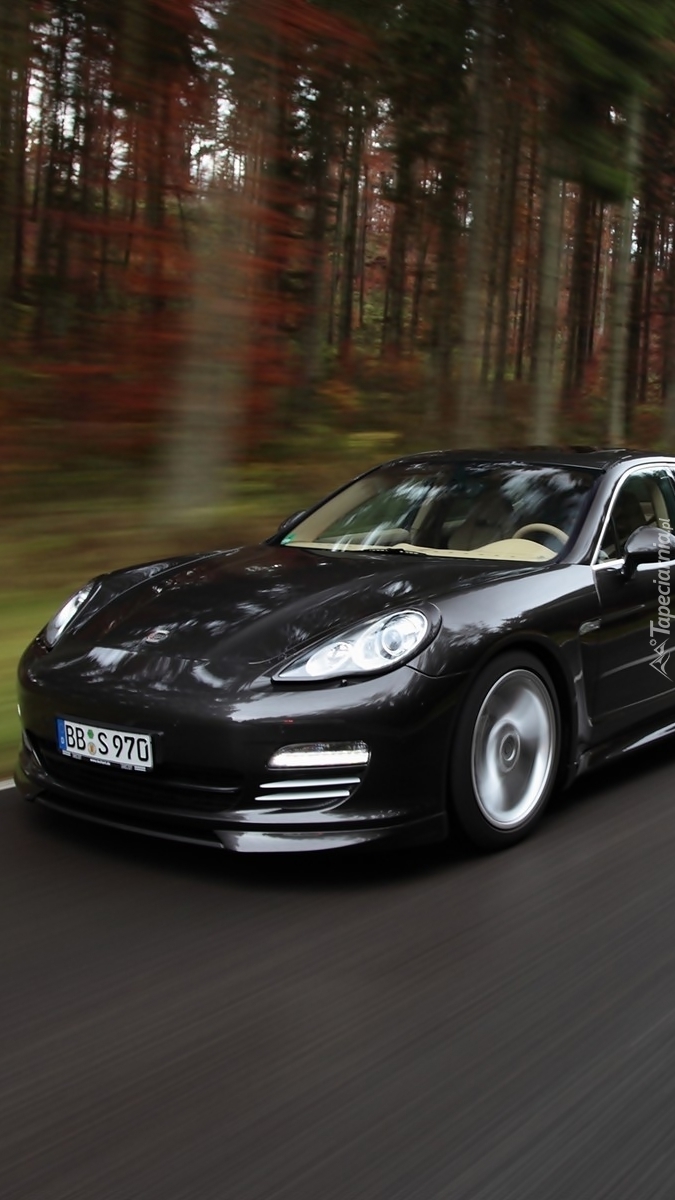 Porsche Panamera TechArt Concept na drodze
