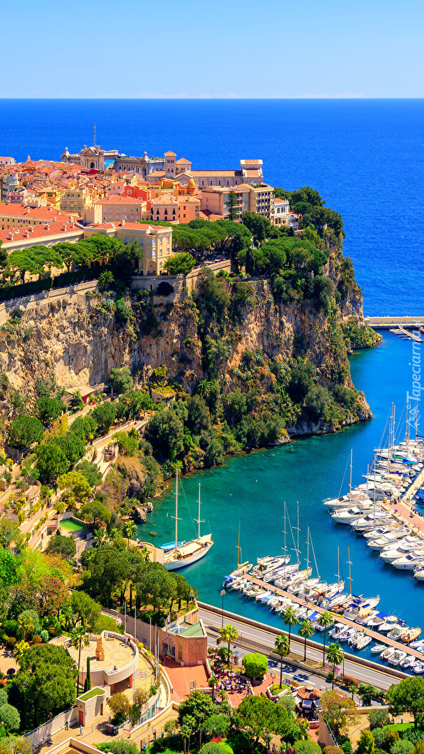 Port De Fontvieille