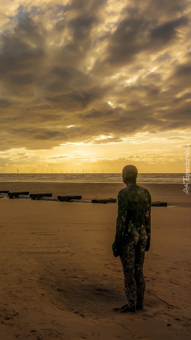 Posąg na plaży Crosby Beach