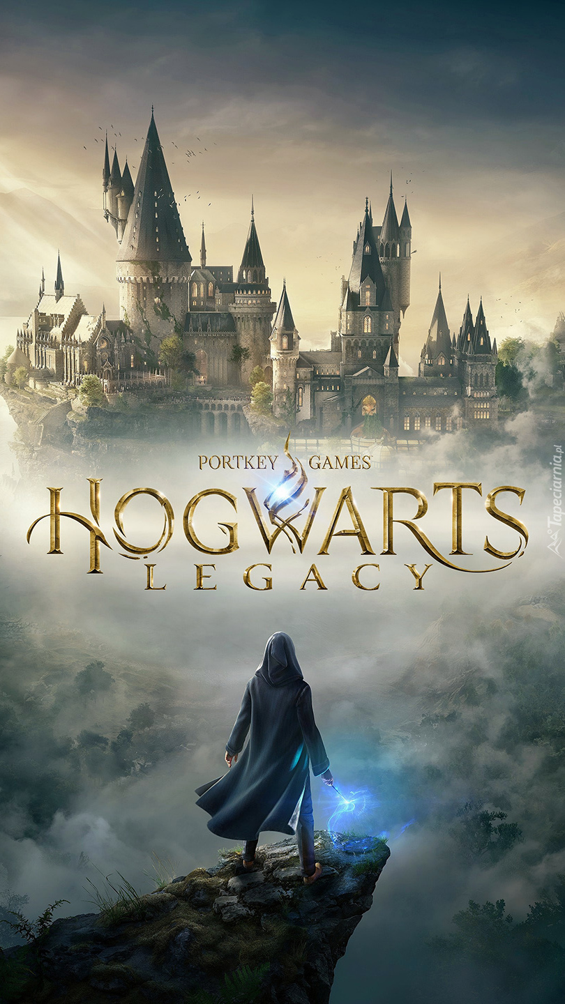 Postać na skale z gry Hogwarts Legacy