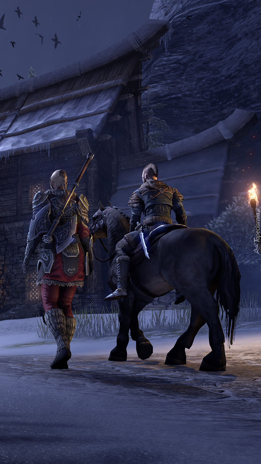 Postacie z gry the Elder Scrolls Online Greymoor