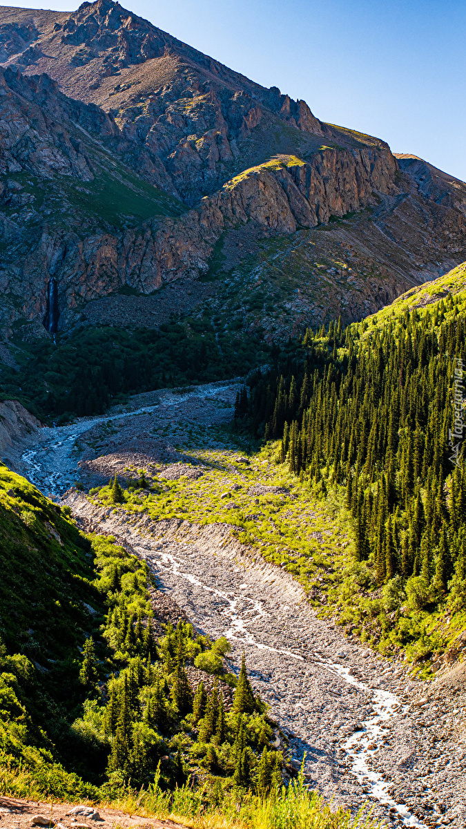 Potok w górach Tienszan