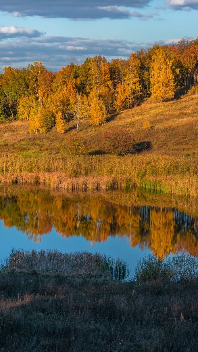 Pożółkłe drzewa na wzgórzu nad jeziorem