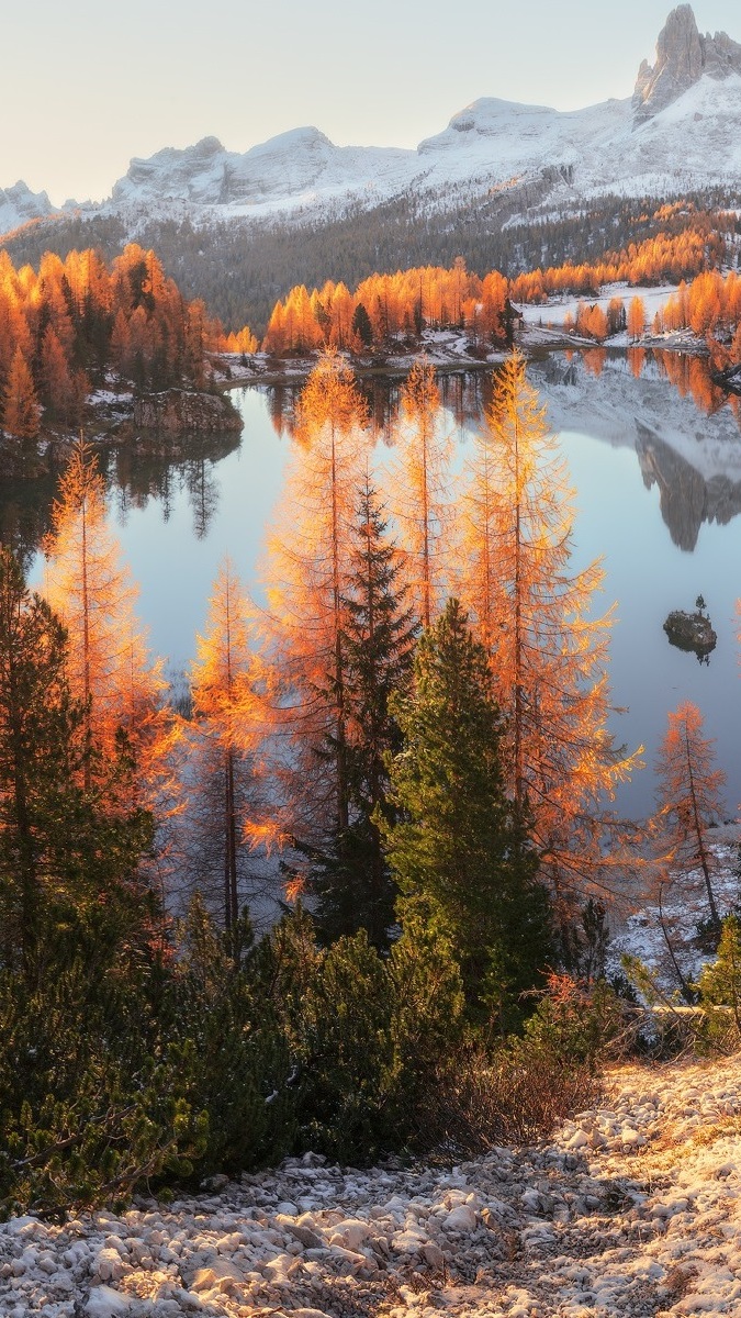 Pożółkłe drzewa nad jeziorem Federa w Dolomitach