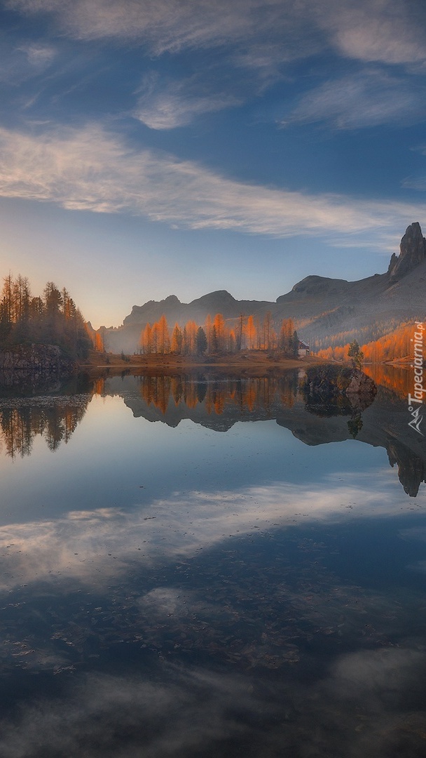 Pożółkłe drzewa nad jeziorem Lago Federa