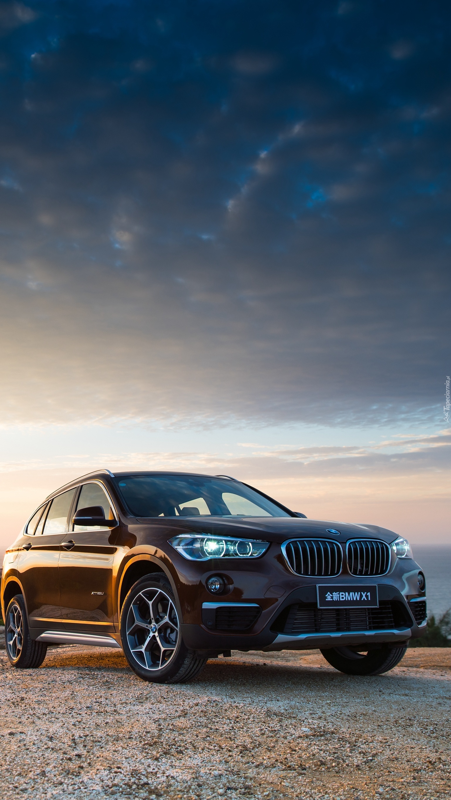 Pozostawione na drodze BMW x1