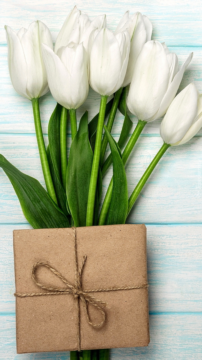 Prezent na białych tulipanach