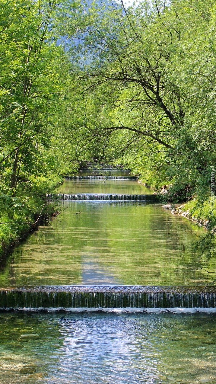 Progi wodne na leśnej rzece