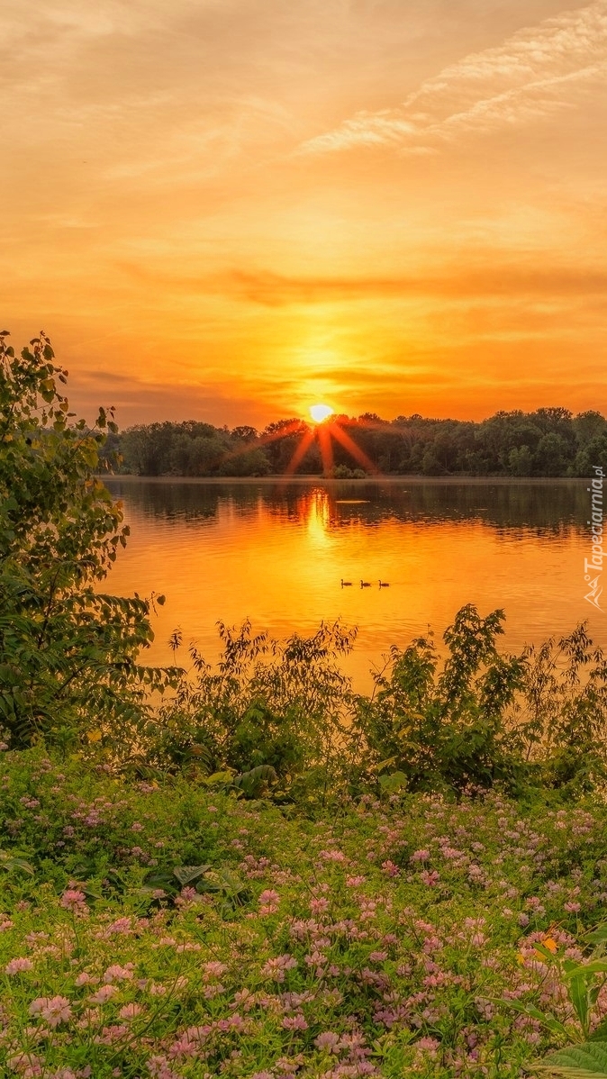 Promienie słońca  nad rzeką