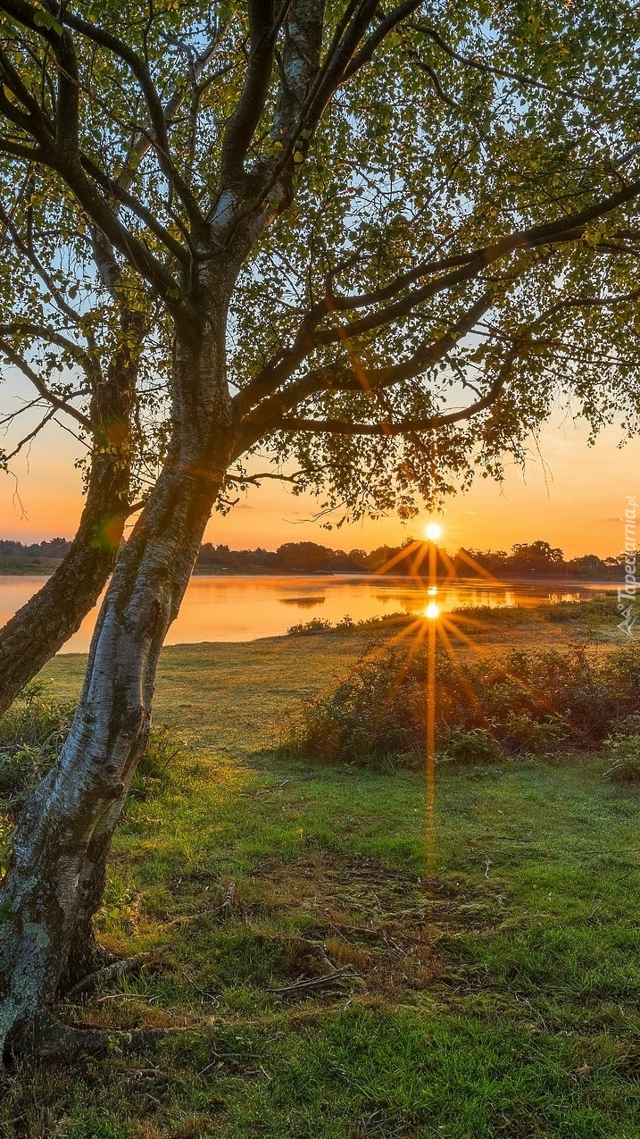 Promienie słońca nad rzeką