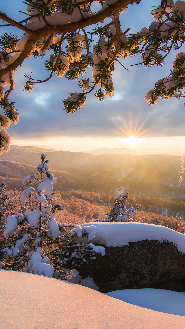 Promienie słońca nad zimowymi górami i drzewami