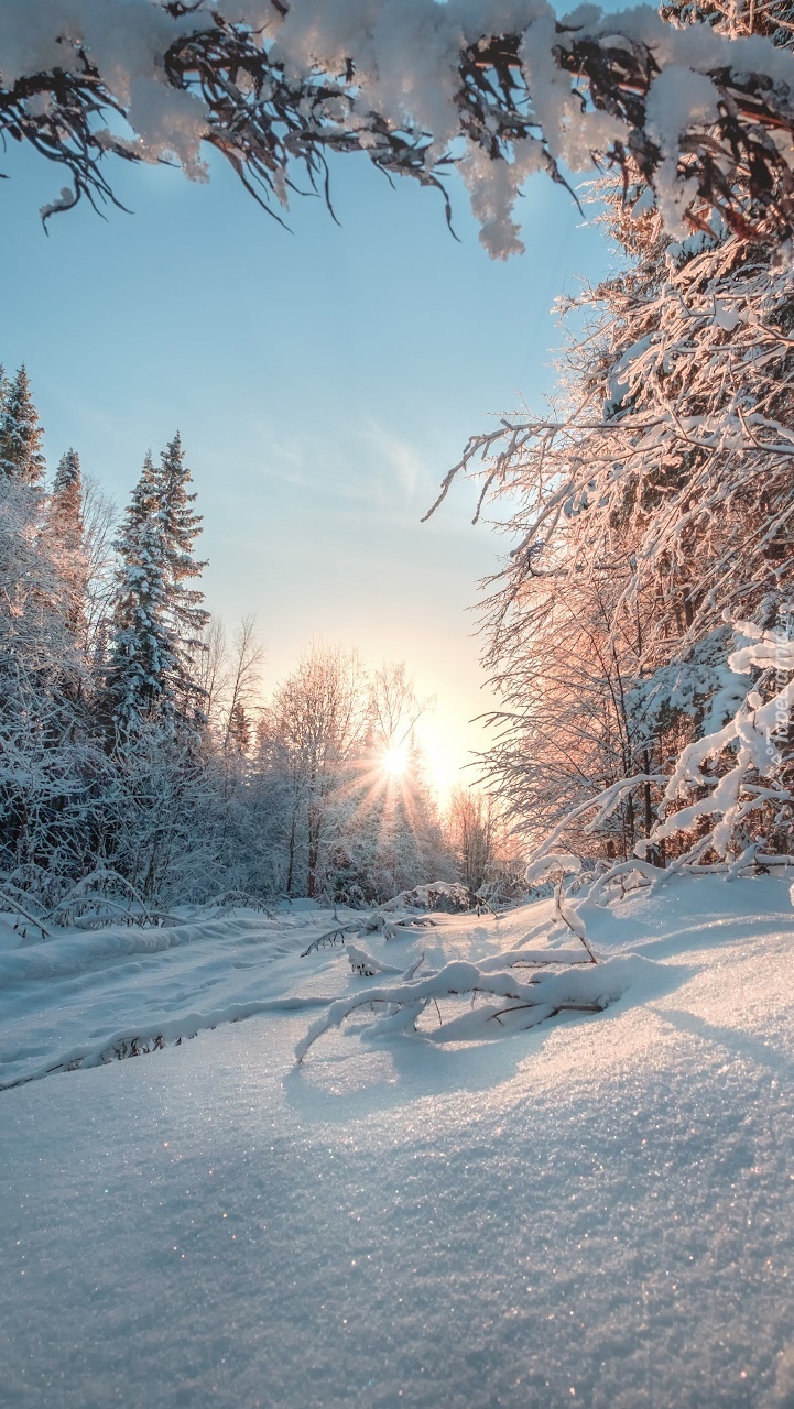 Promienie zimowego słońca na Uralu