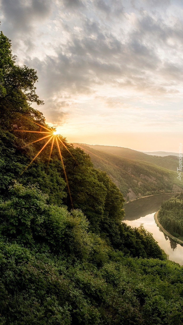 Promienne słońce w lesie nad rzeką