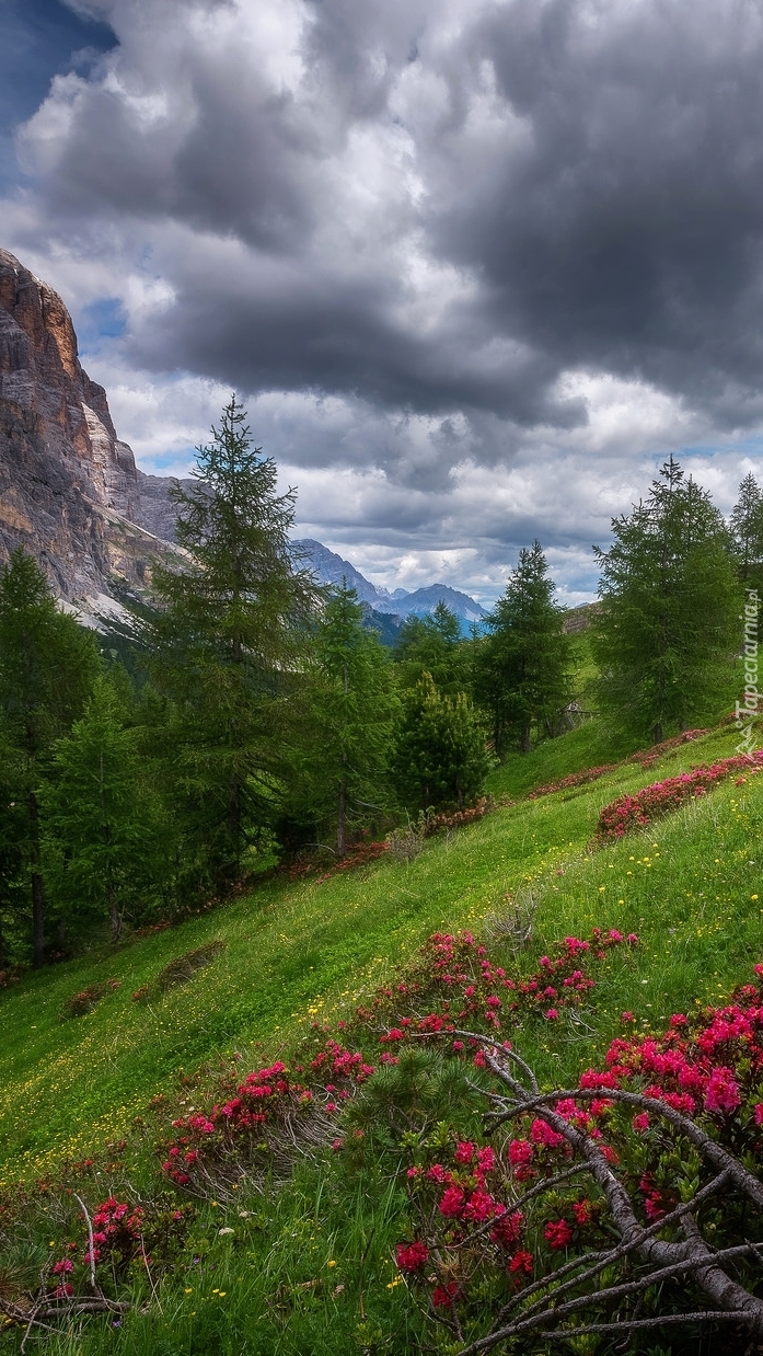 Przełęcz Falzarego Pass w Dolomitach