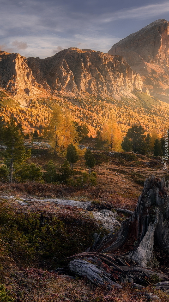 Przełęcz Falzarego Pass w górach