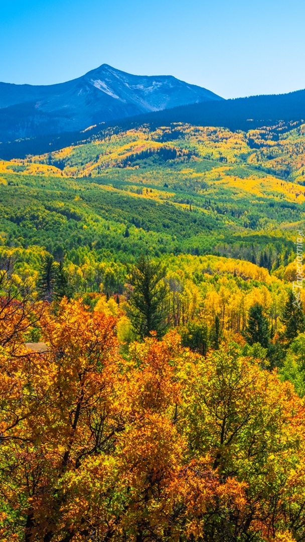 Przełęcz Kebler Pass jesienią