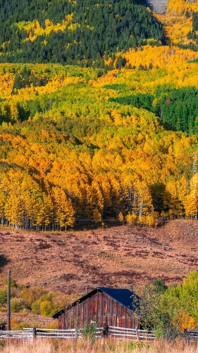 Przełęcz Kebler Pass jesienią