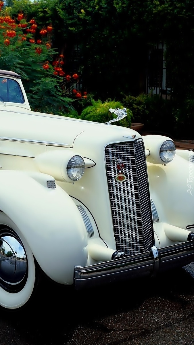 Przód zabytkowego Cadillaca Fleetwood Series 75 Convertible Sedan