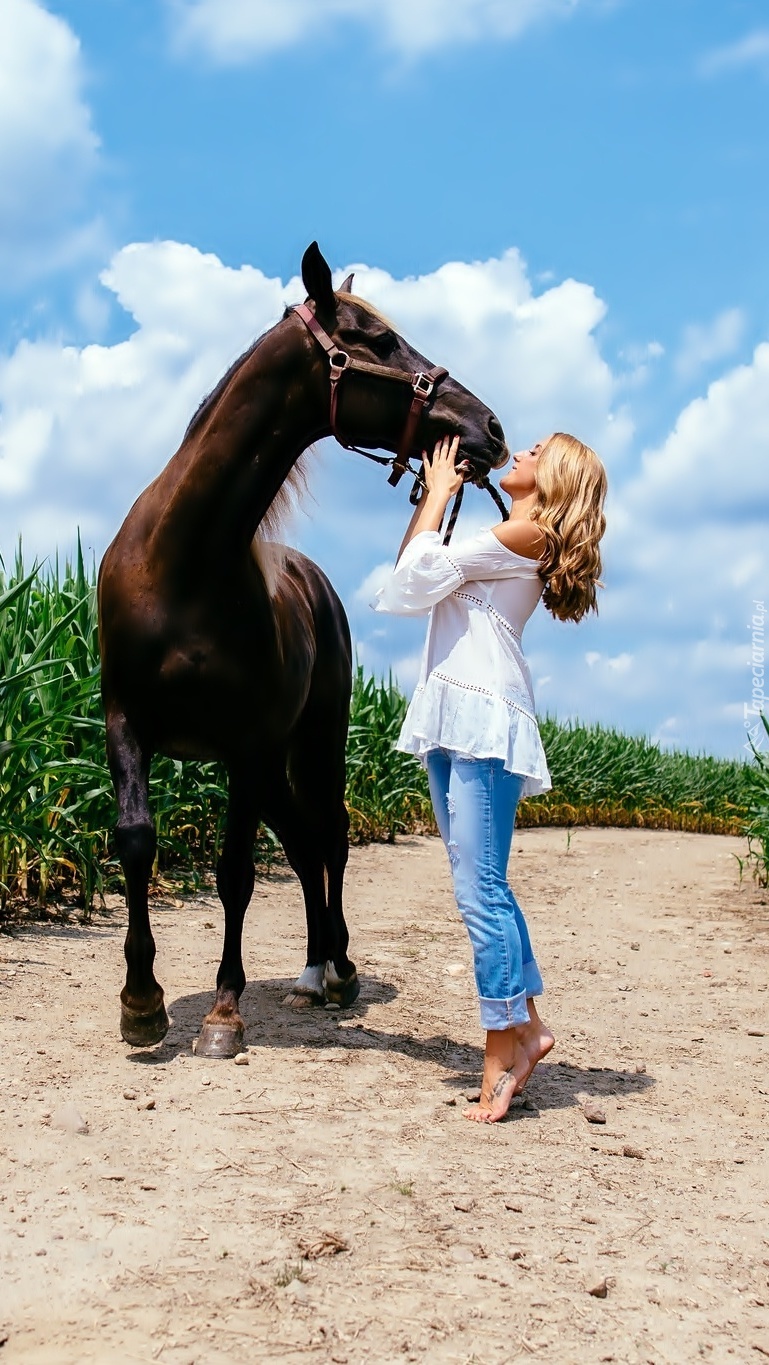 Przyjaźń kobiety z koniem