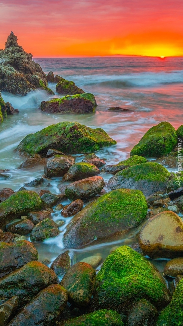 Przylądek Point Mugu w Malibu