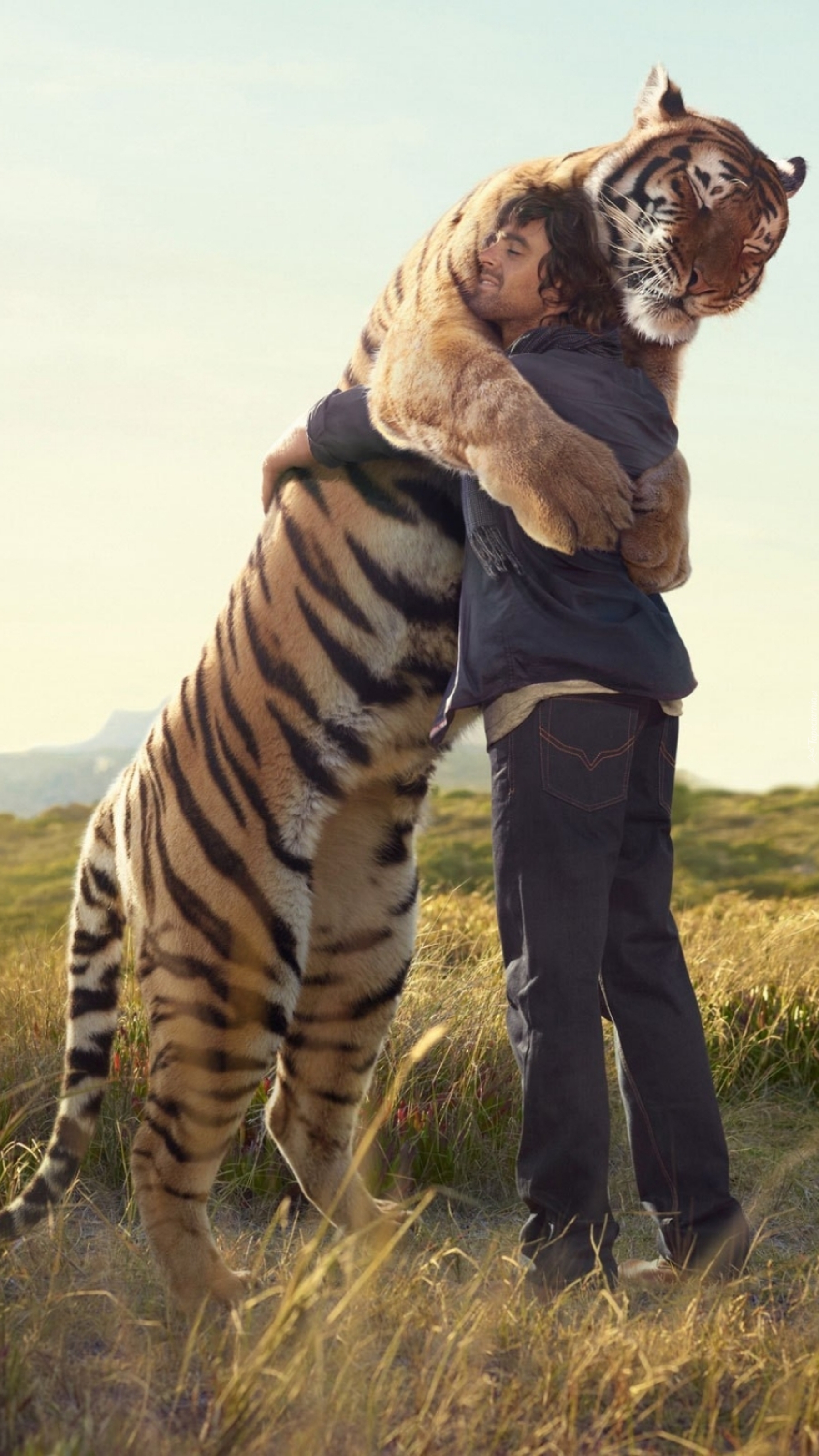 Przywitanie mężczyzny z tygrysem