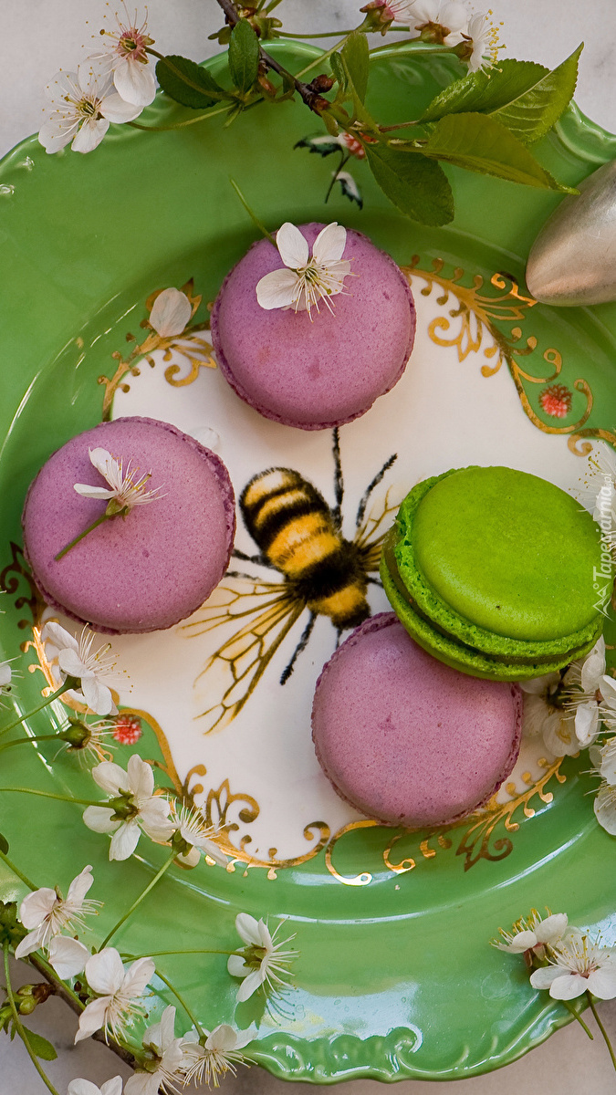Pszczoła i makaroniki na talerzu