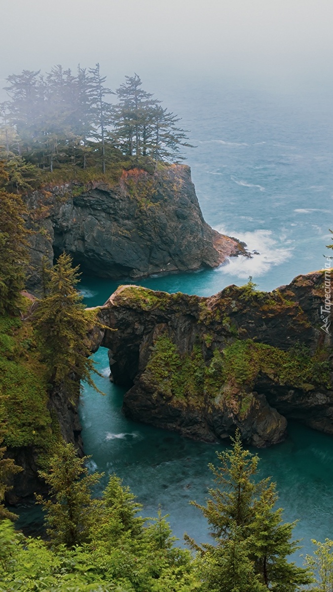 Punkt widokowy Natural Bridges Viewpoint w Oregonie