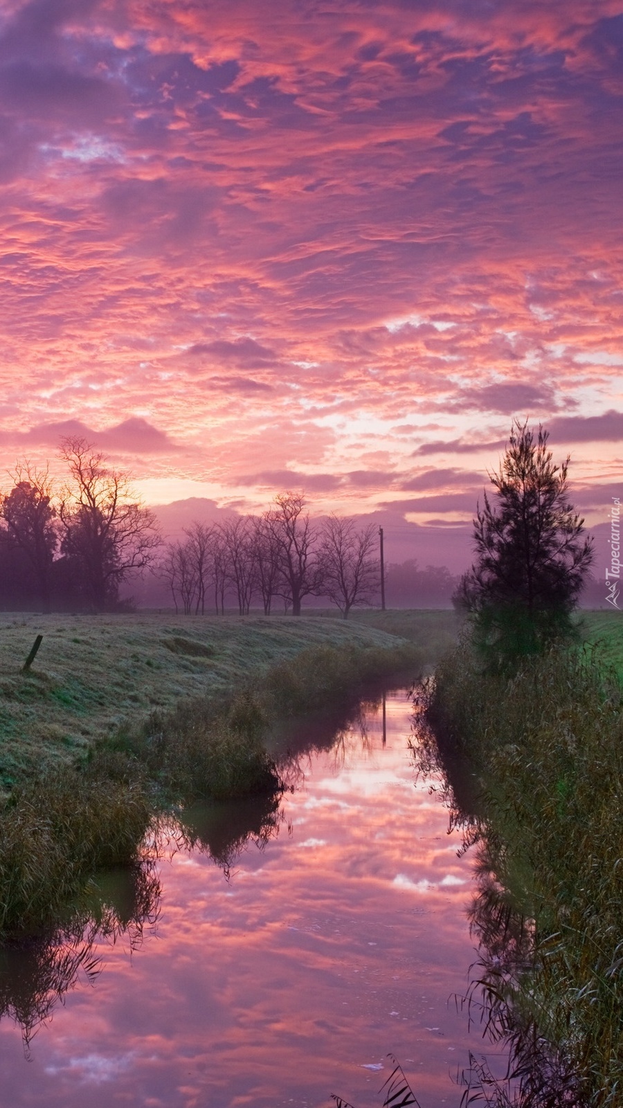 Purpurowe chmury nad rzeką