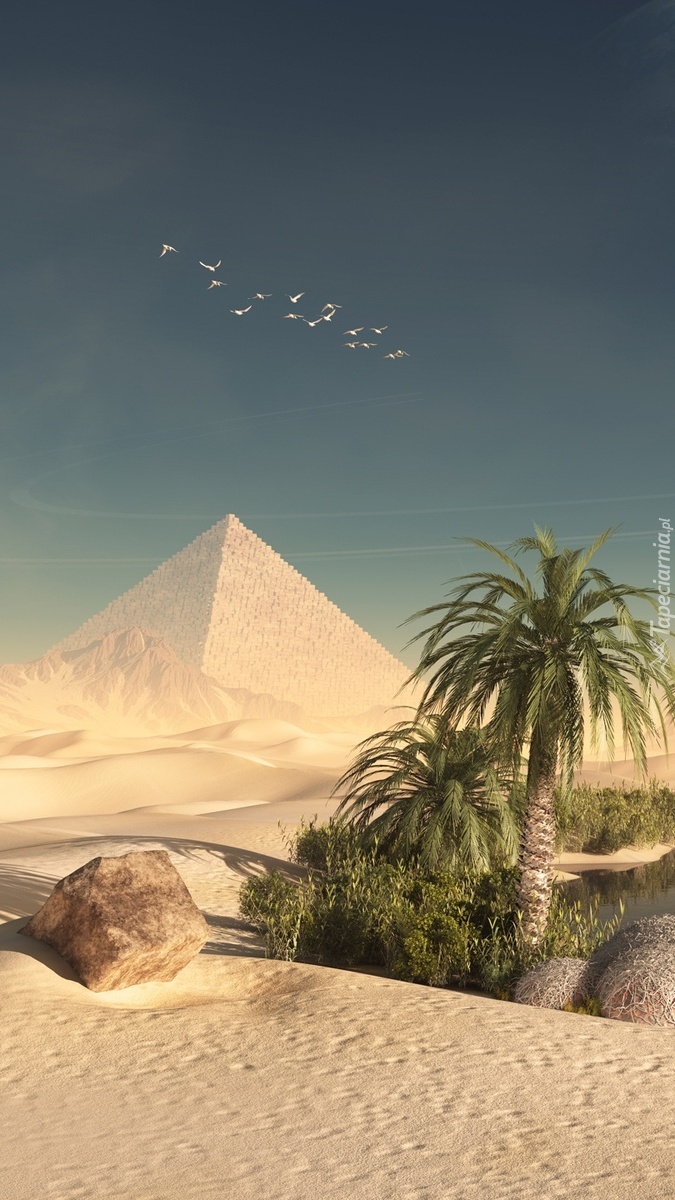 Pustynna piramida i palmy