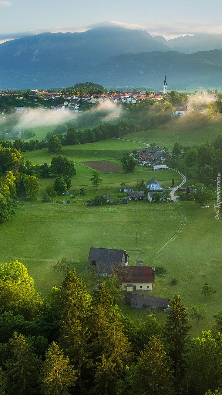 Radovljica w Słowenii z lotu ptaka