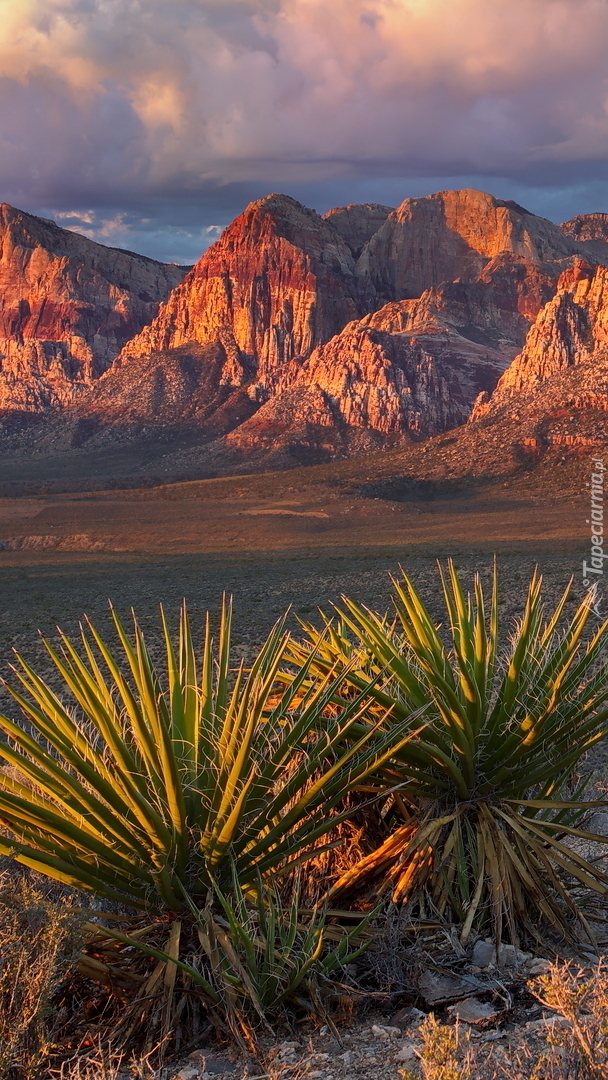 Red Rock Canyon