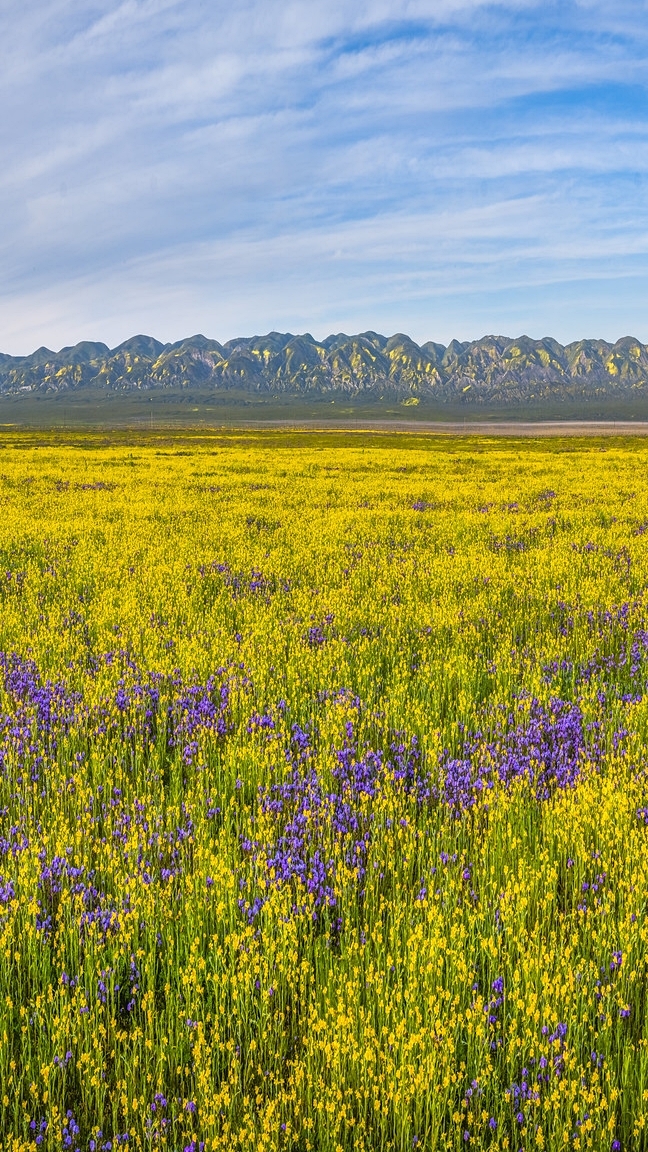 Rezerwat przyrody Carrizo Plain National Monument w Kalifornii