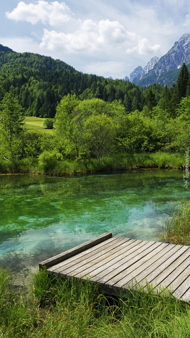 Rezerwat przyrody Zelenci w Słowenii