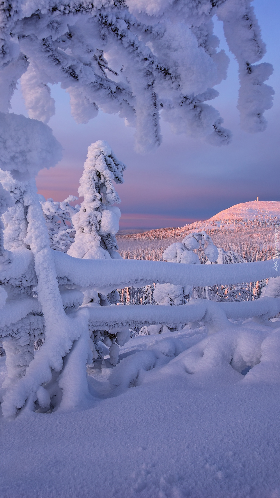 Rezerwat Valtavaara