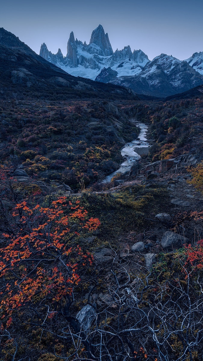 Roślinność nad rzeką i szczyt Fitz Roy w oddali