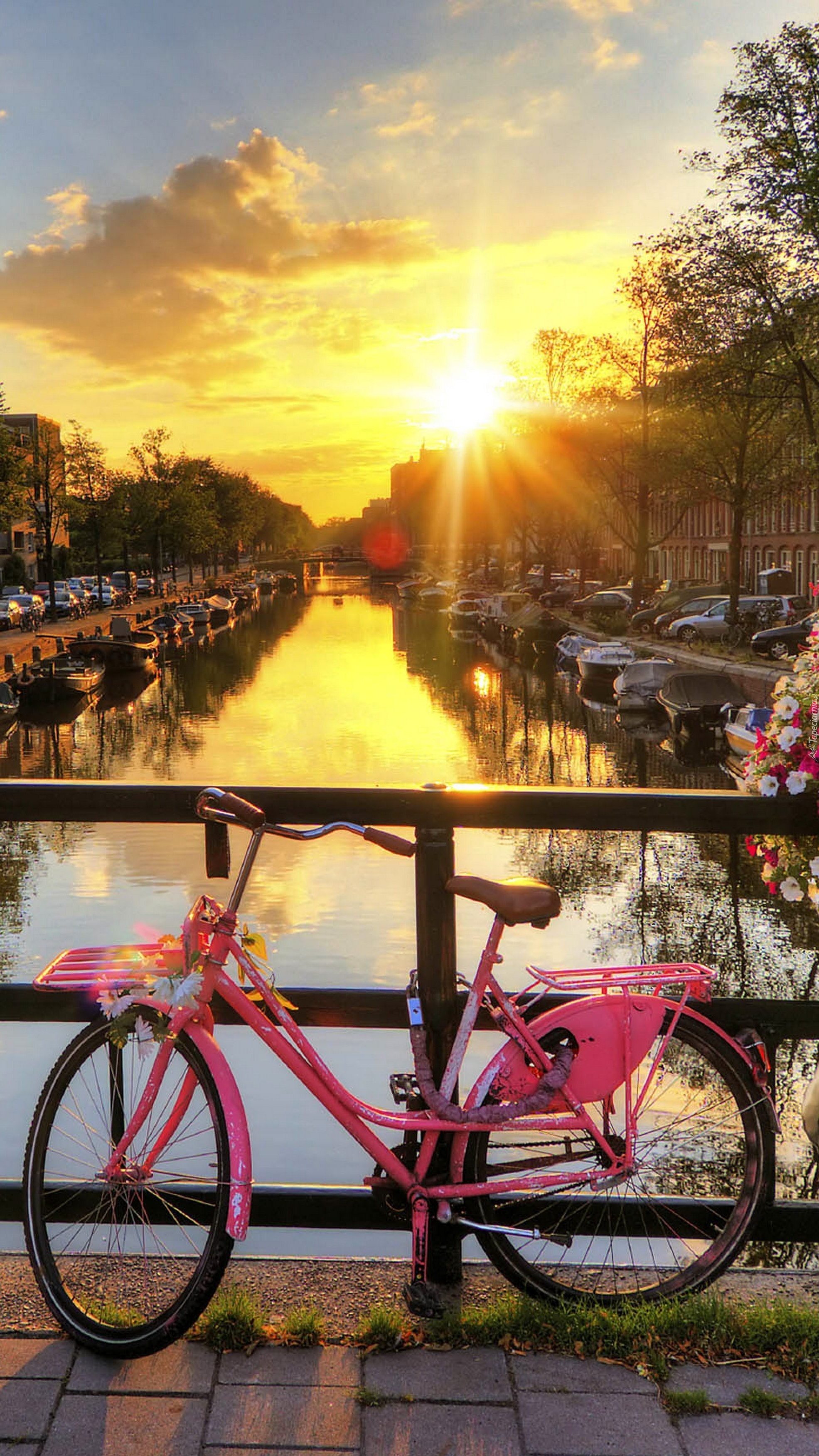 Rower na moście w Amsterdamie o wschodzie słońca