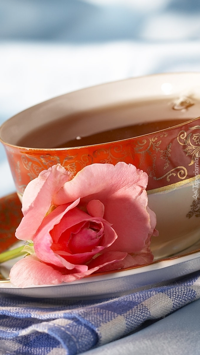 Róża przy filiżance herbaty