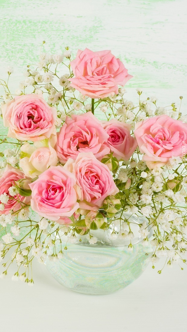 Róże i kwiaty gipsówki w szklanym wazonie