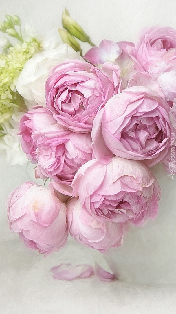 Róże koloru różowego w białym wazonie